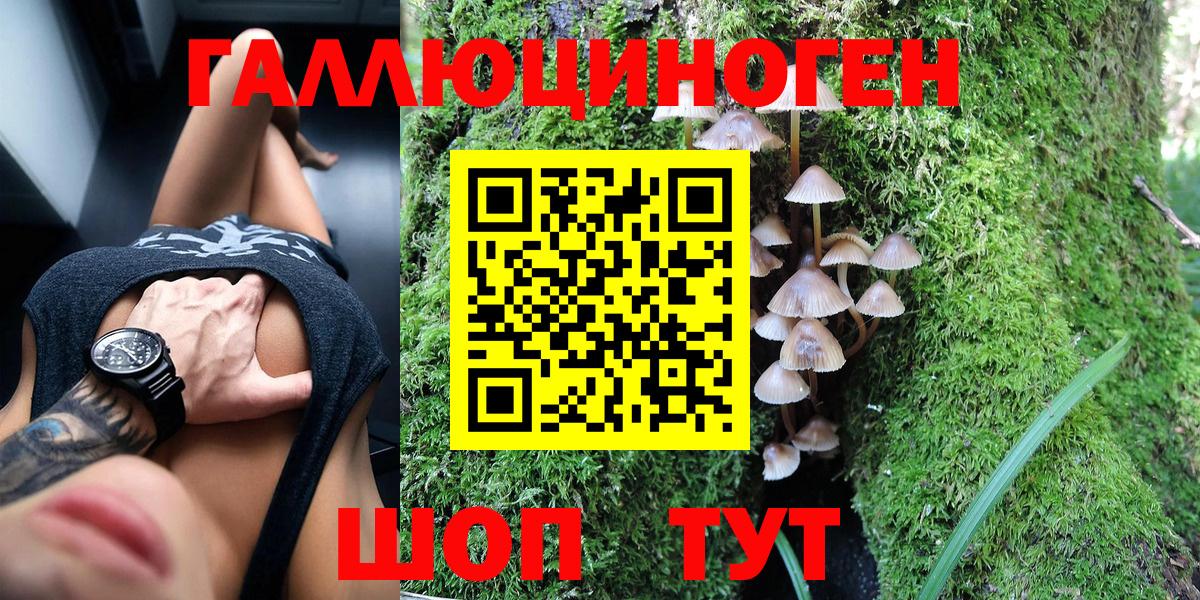 Ачинск  что такое   Вход с VPN  Псилоцибиновые грибы мухоморы  Галлюциногенные грибы ЛСД 